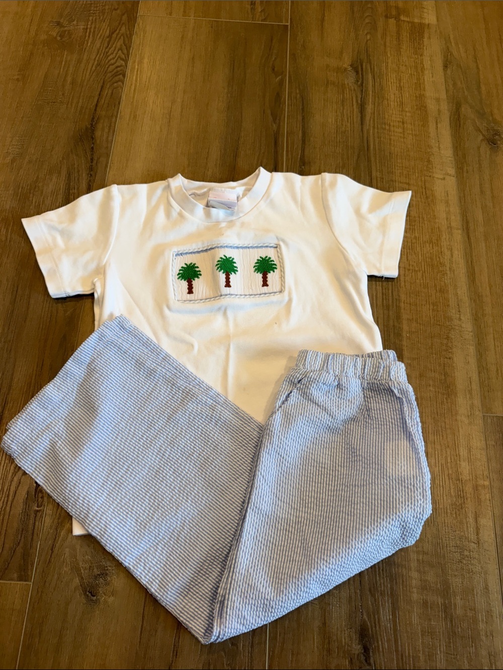 White Palm Appliqué Tee with Light Blue Seersucker Pants size 5